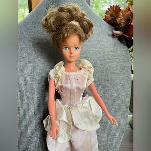 1980 Vintage Cinderella Disney for Birkin Doll